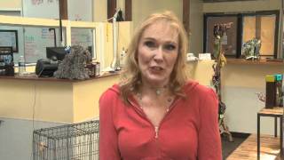 My Business Story: The Bone Adventure