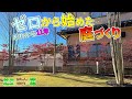 【芝生と雑木の庭】ガラクタだらけの庭が、11年で、こんなに綺麗な紅葉の庭になったよ！