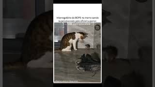E é assim que o BOPE funciona na prática 🤣🤣🤣 #rir #humormemes #meme #comedia