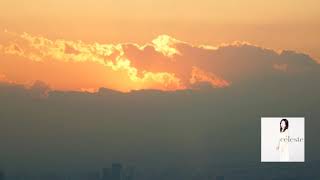 Chopin : Prelude No.15 in D-flat, Op.28, No.15, "Raindrop" / Ikuyo Nakamichi 2005