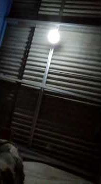 story' wa Agnes Monica matahariku