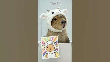 This Capybara Thinks It