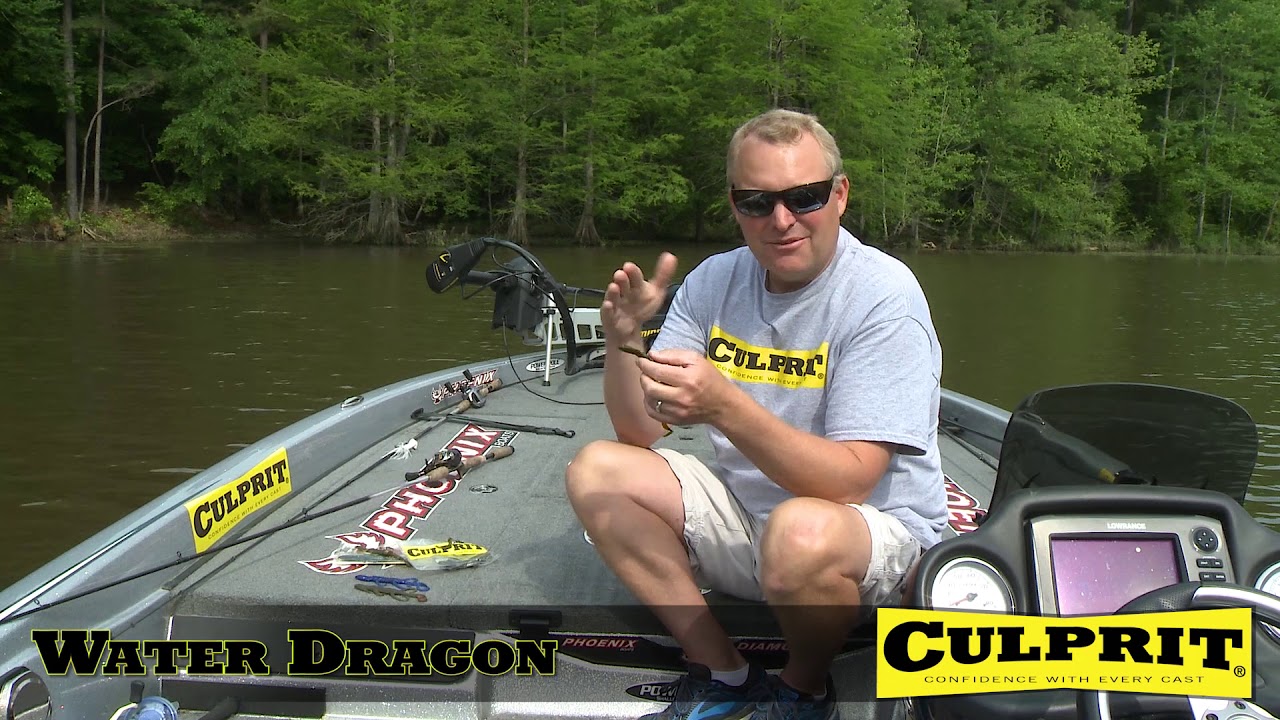 Water Dragon YouTube