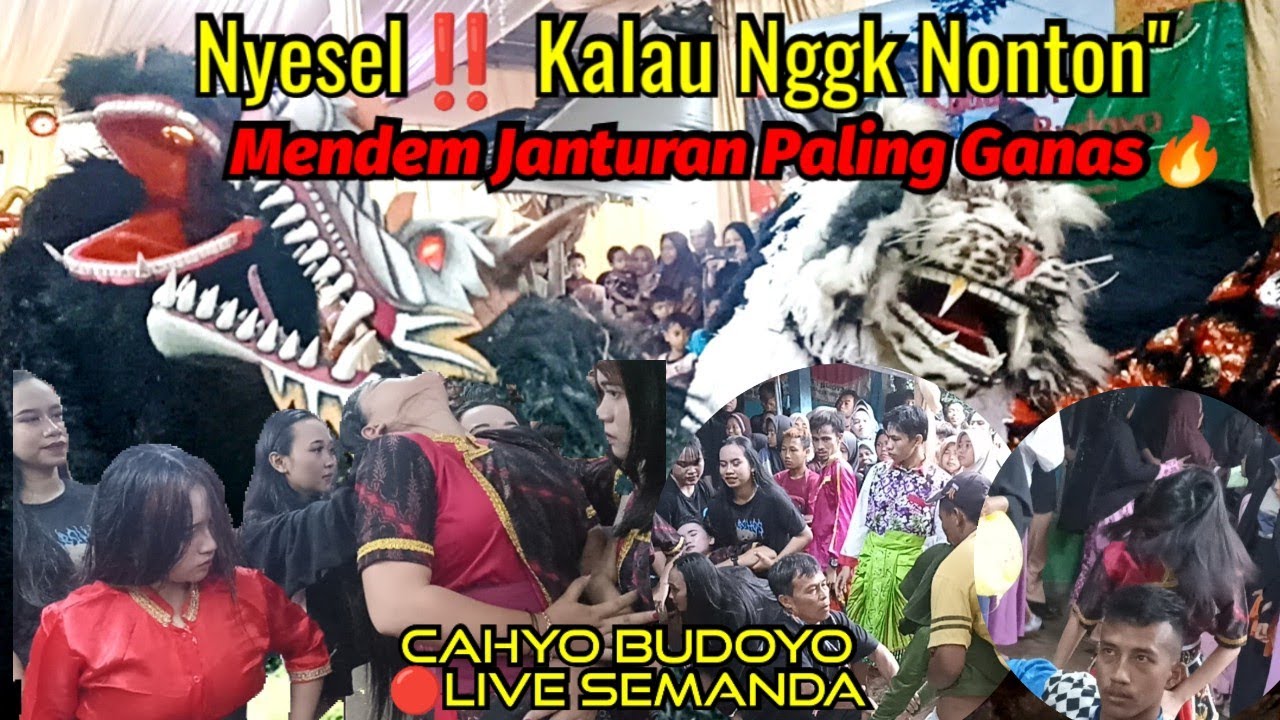 Janturan terbaik saat ini full kesurupan ebeg cahyo budoyo || full barongan live semanda