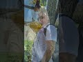 trem doido #funny #viral_video #trem #shortviral #shortvideo #shorts #shor #shirt #humor