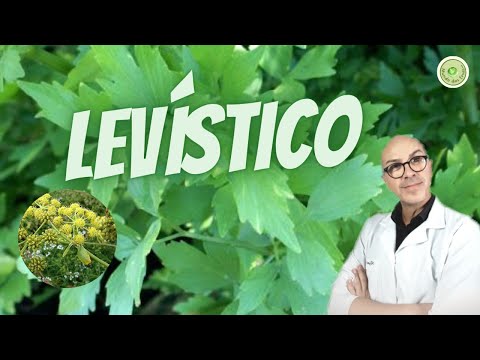 Vídeo: Insetos que comem lovage: aprenda a reconhecer os sintomas de pragas de plantas lovage