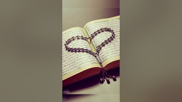 أجمل تلاوة خاشعة ل(سورة الممتحنة )