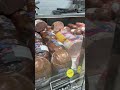 عشاق كاشير 