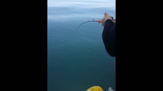 20140730 133729