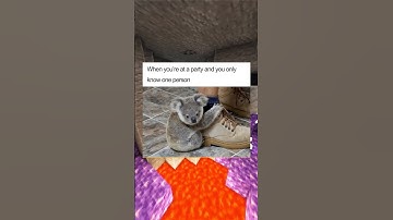 😂 Introverts Memes! 1% 😂