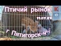 Голуби-Птичий рынок г Пятигорск-ч4Pigeons-Bird market, Pyatigorsk-ch4