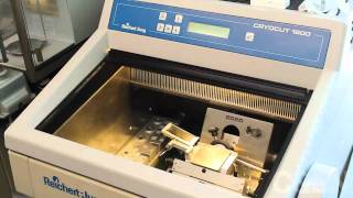 Celebrity Tissue Imaging with Mass Spectrometry Net Worth