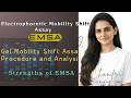 Part 2 –Gel Mobility Shift Assay Procedure and Analysis |  EMSA | Protein–DNA Interaction