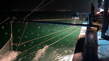 De visser gaat de zee op om sporen van haring te vinden - Dan Bien