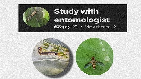 Insect Toxicology important questions for ASRB NET 2025