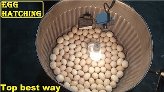 Best idea to hatch an eggs || DIY-Easy homemade  egg incubator for chicken eggs ||How to hatch eggs