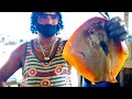 Cutting ray fish  fish cutting skills  made in sri lanka