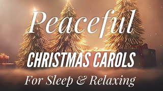 Peaceful Christmas Carols for Sleep & Relaxing (11 Hours)