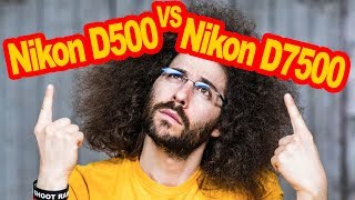 Nikon D500 VS Nikon D7500 Comparison: Which To Buy?