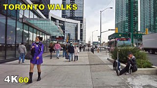 Toronto Sheppard Avenue Walk Along Line 4 on November 5, 2020