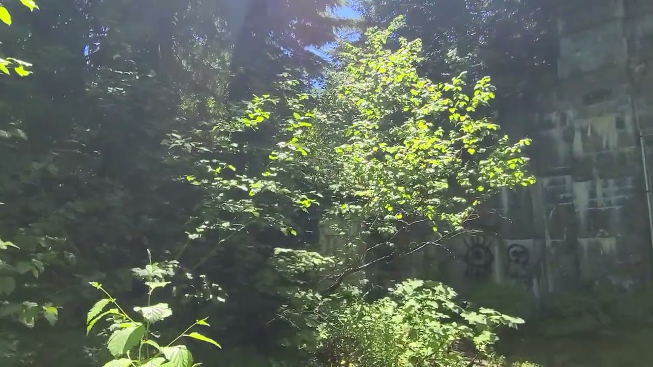 Original Cascade tunnel built by Great Northern Railway between 1897 & 1900. This is the East portal