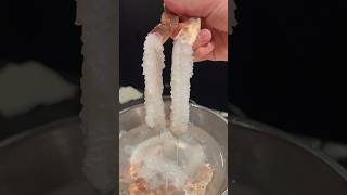 #crab #japan #sushi 熟成鮨と松葉蟹コース