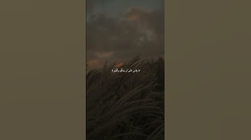 ماهر المعيقلي } تلاوه هادئه تريح الاعصاب 🎧🌥️#quran