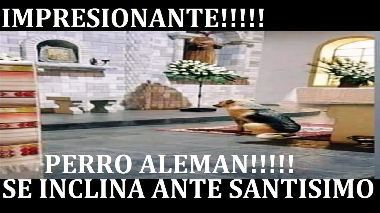 Muitos Sacerdotes não acreditam mais na 