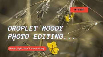HOW TO EDIT PHOTOS IN LIGHTROOM? | LIGHTROOM PHOTO EDITING TUTORIAL | DROPLET PHOTOGRAPHY MOODY EDIT