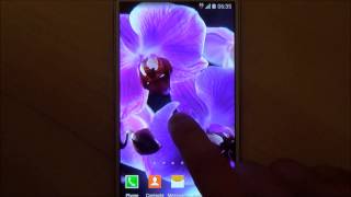 Free orchids live wallpaper for Android phones and tablets screenshot 2