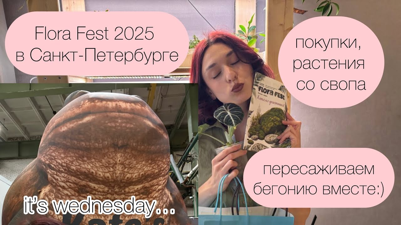 Flora Fest в Санкт-Петербурге: влог и мои покупки, болтаем и пересаживаем бегонию вместе!