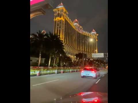 LIZARD Lady Holiday Special - Party at the Mardi Gras Hotel Casino and Lizard Farm allegedly