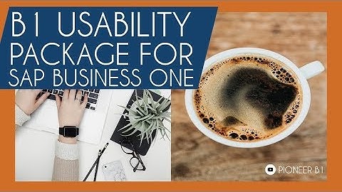 B1 Usability Package Training for SAP Business One