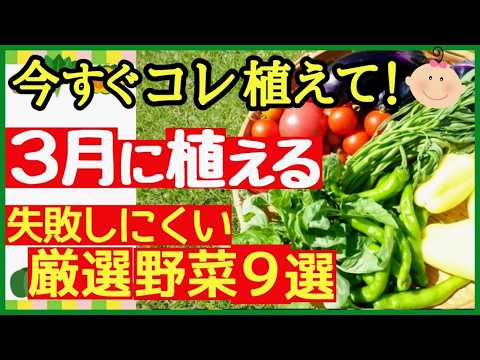 Start growing in March! 9 of the best vegetables for beginners to