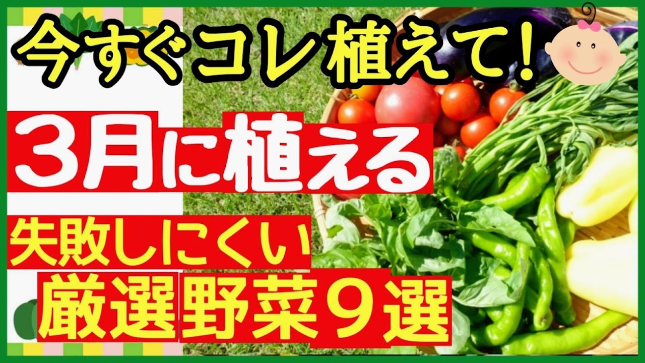 3月からスタートできる！初心者がまず成功する最強野菜9選【プランターOK・家庭菜園】
