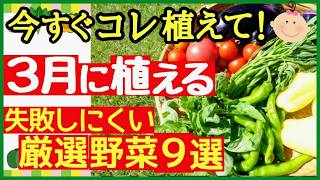 Start growing in March! 9 of the best vegetables for beginners to
