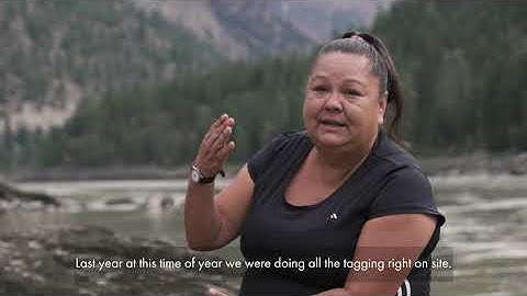 2020 Fish wheel operations  at the Big Bar landslide response in  British Columbia