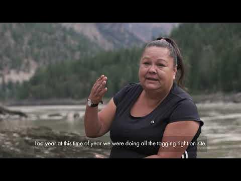 2020 Fish wheel operations at the Big Bar landslide response in British  Columbia 