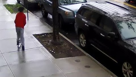 Surveillance Of Bronx Theft Suspect