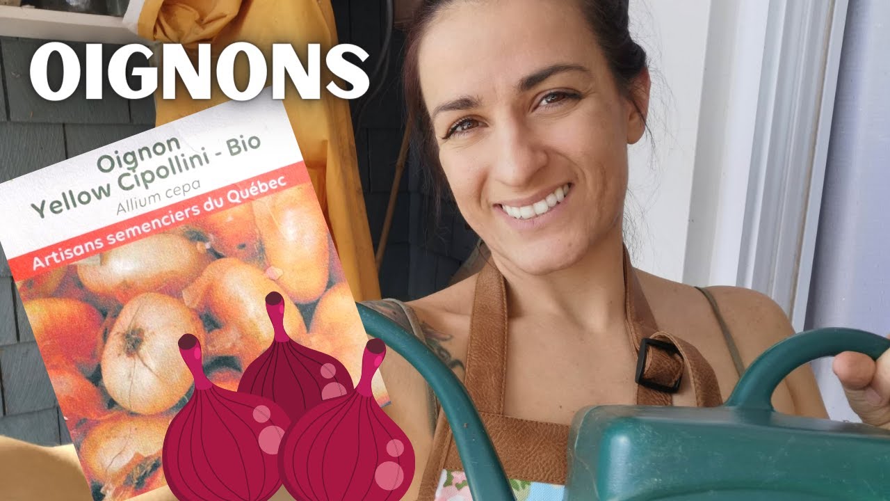 Semer des Onions au mois de mars pour le Potager au Quebec