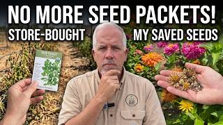 I Stopped Buying Most of My Seeds 3 Years Ago. Here's What Happened to My Farm.
