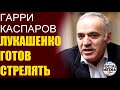 Гарри Каспаров - Клубок противоречий в странах СНГ