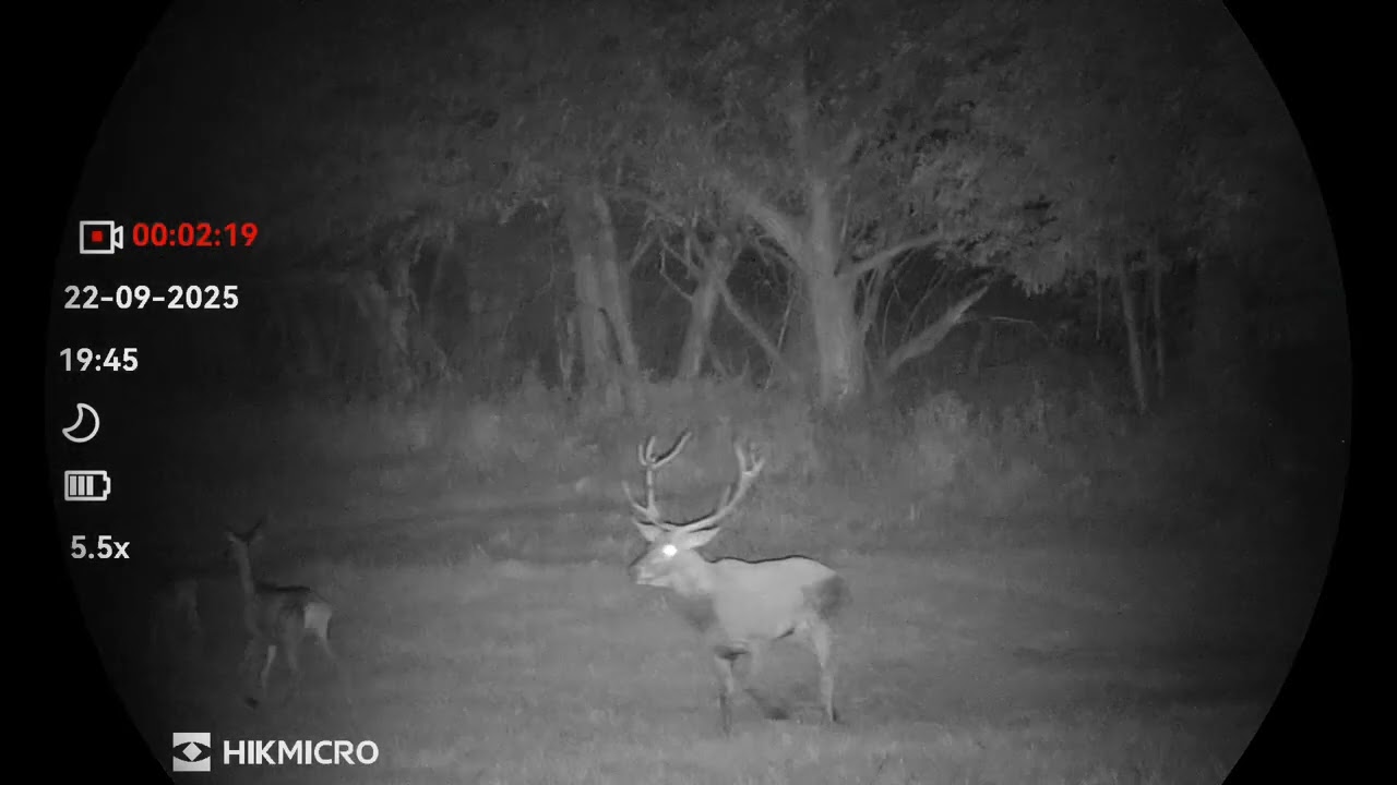 Hikmicro Habrok 4k HE25LN 