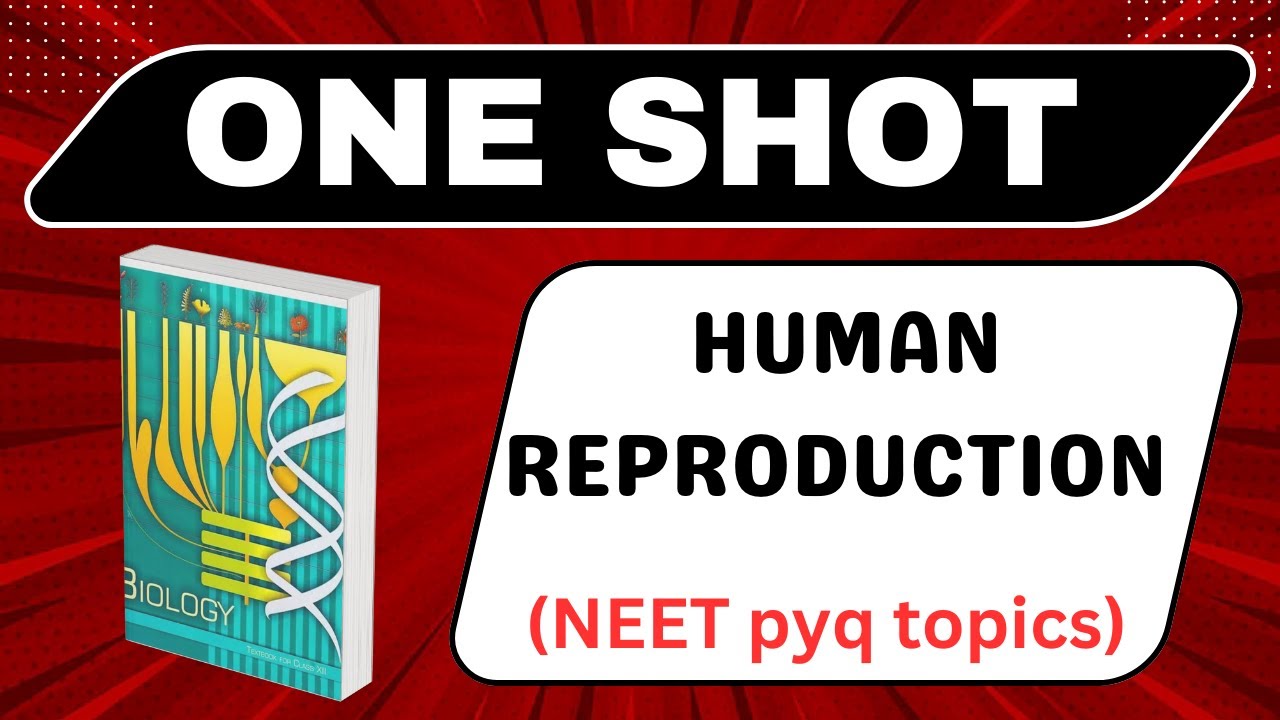 Human reproduction class 12 one shot ncert with neet pyq topics - YouTube