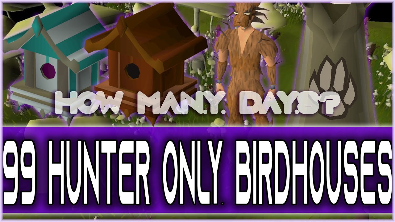 99 Hunter Only Bird Houses | How long will it take?