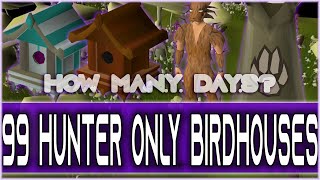 99 Hunter Only Bird Houses How Long Will It Take?