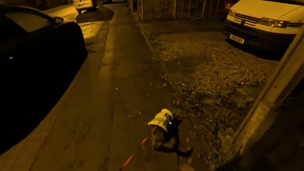 Me..Dog..Walk.. The End.. (DOG WALK/POV/MIC)