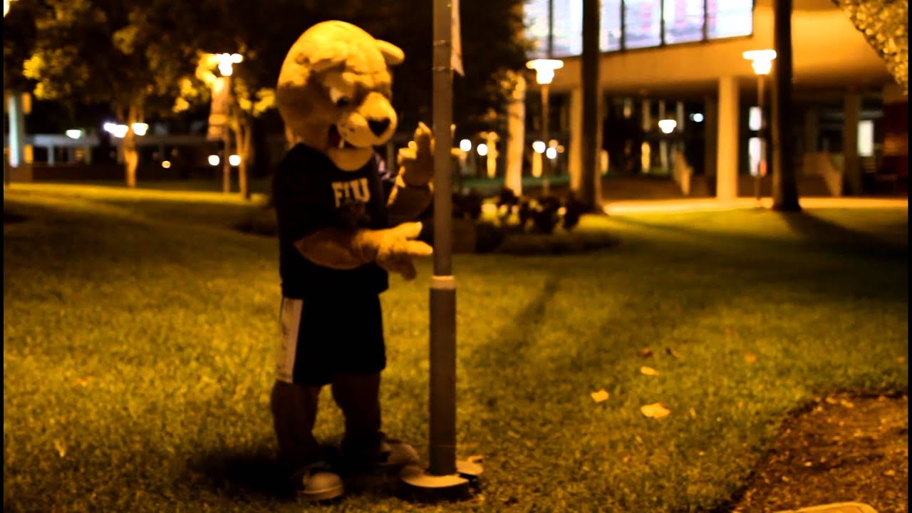 football score Roary Sharpening His Claws for the New Season