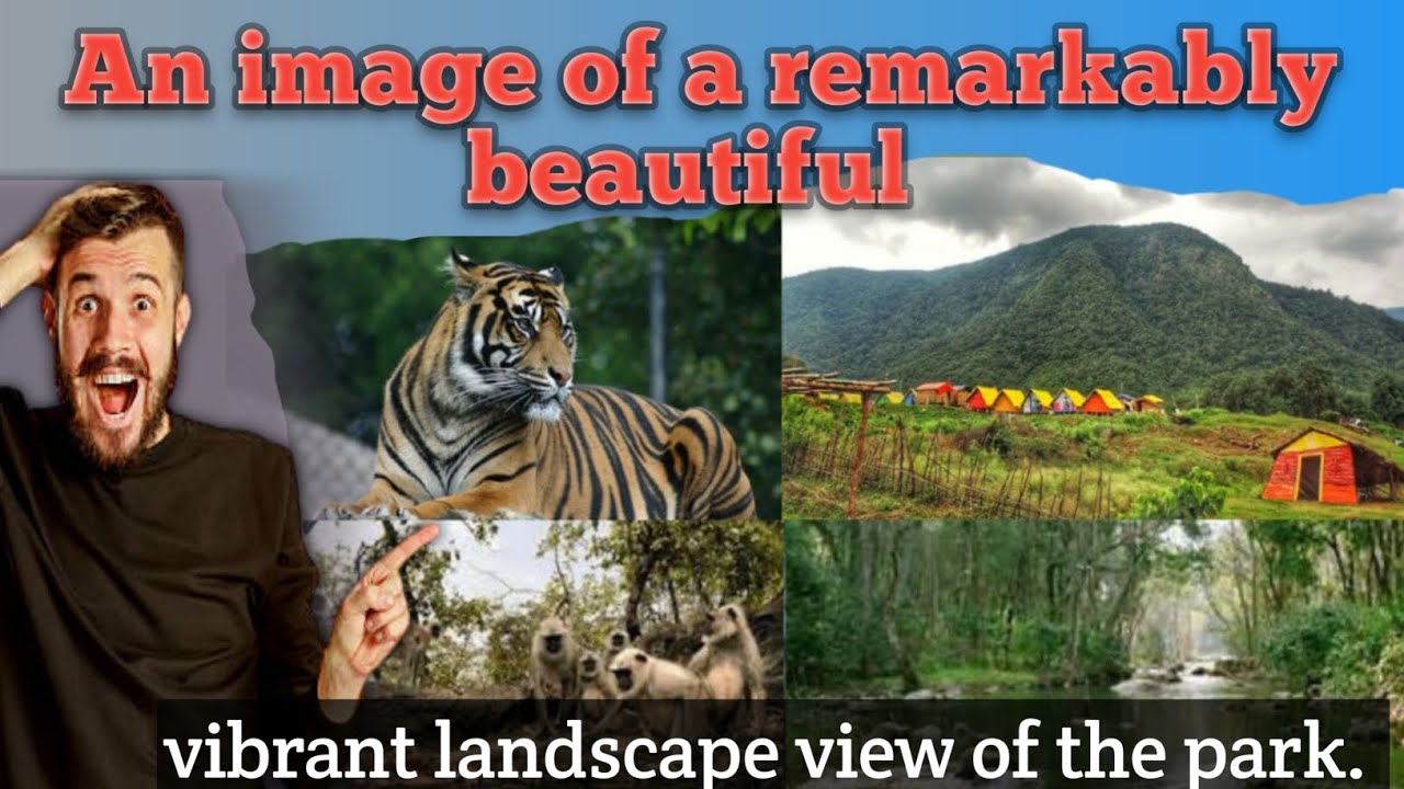 Breathtaking Sights of Papikonda National Park – You WON'T Believe Your Eyes!