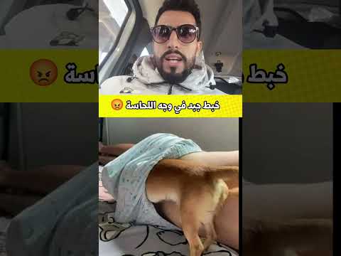 في خاطر العطاية اكسبلور الوكره الجيلي دويتو  ولده ضحك المراه  النظافه
